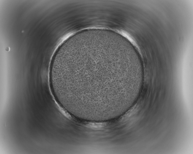 X0000086891237200704300950