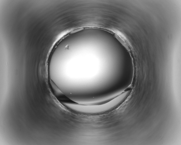 X0000086891238200704300950