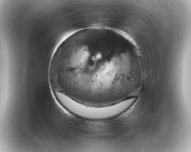 X0000086891239200704300950