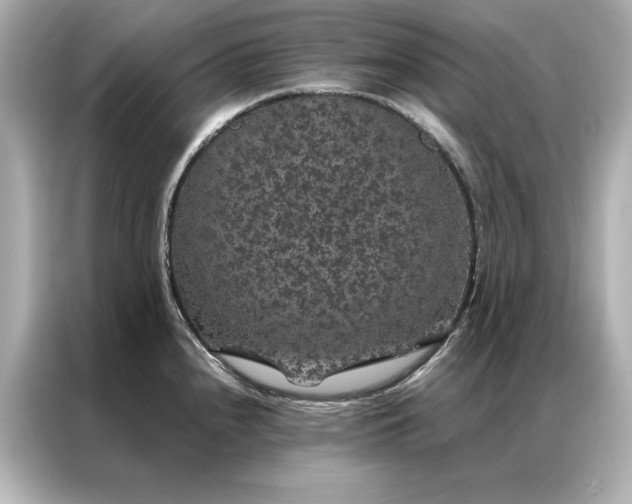 X0000086891240200704300950