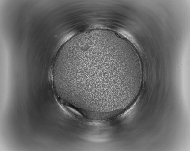 X0000086891241200704300950