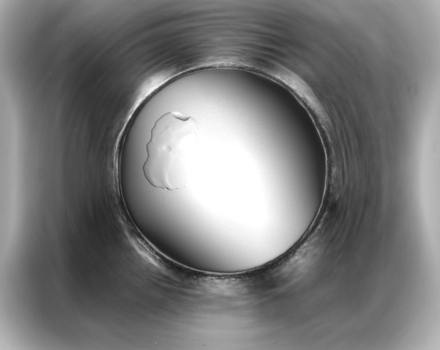 X0000086891242200704300950