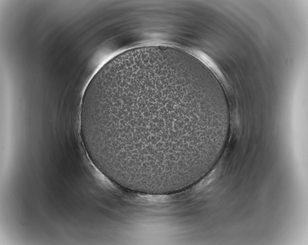 X0000086891244200704300950