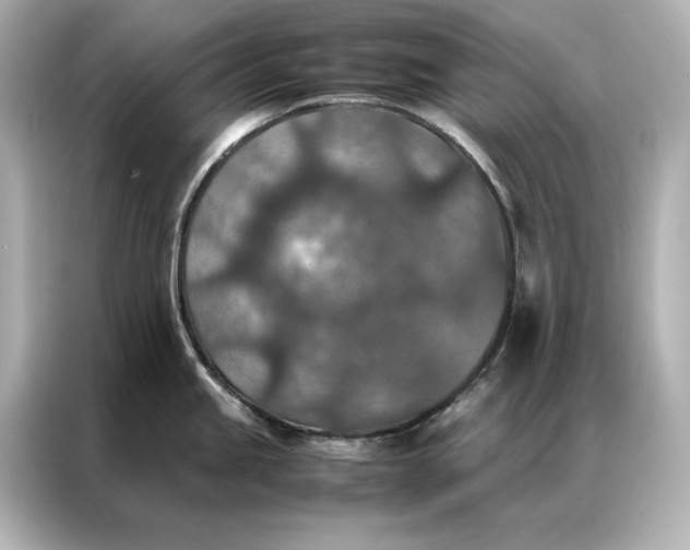 X0000086891245200704300950