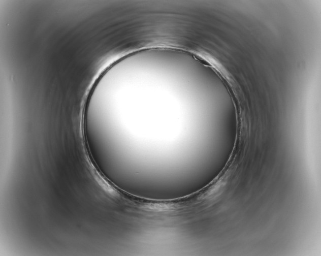 X0000086891246200704300950