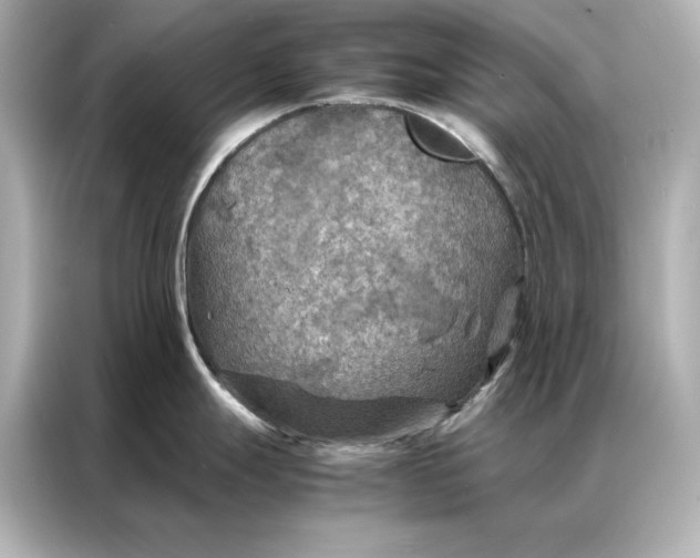 X0000086891247200704300950