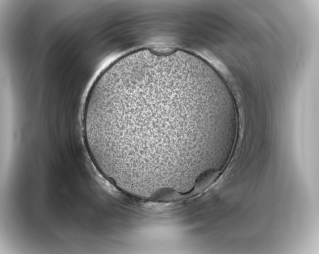 X0000086891248200704300950