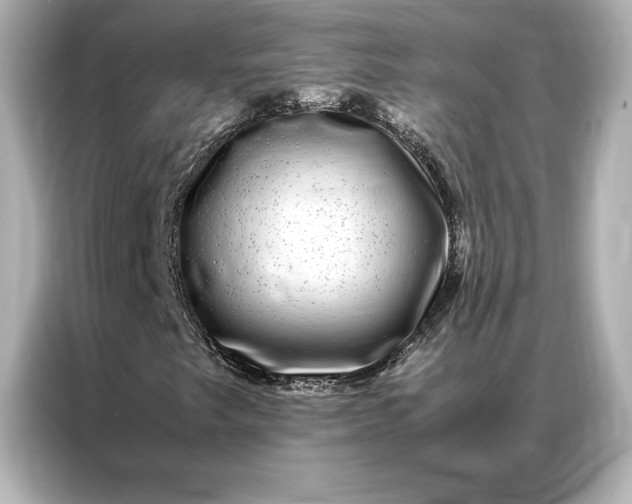 X0000086891249200704300950