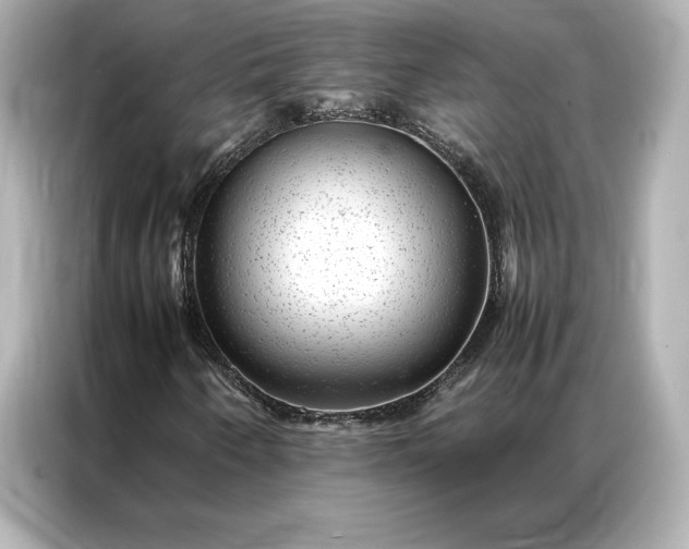 X0000086891250200704300950