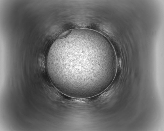 X0000086891251200704300950