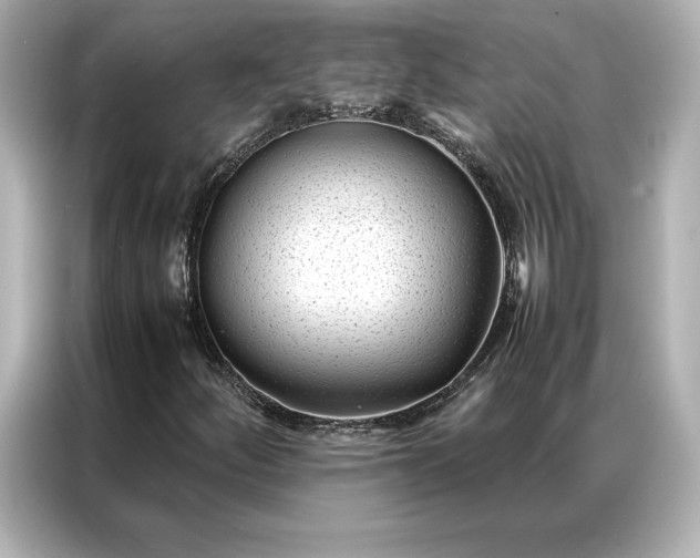 X0000086891252200704300950