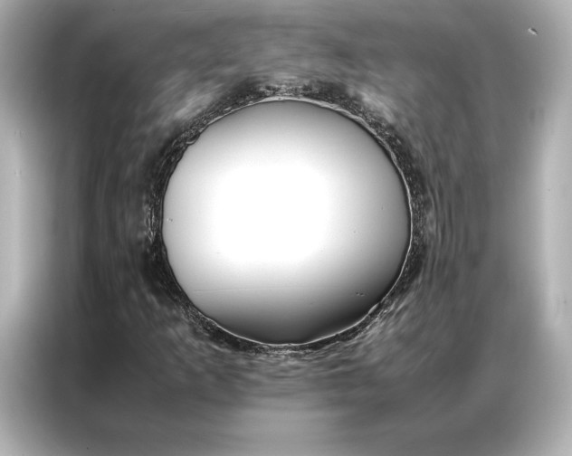 X0000086891253200704300950