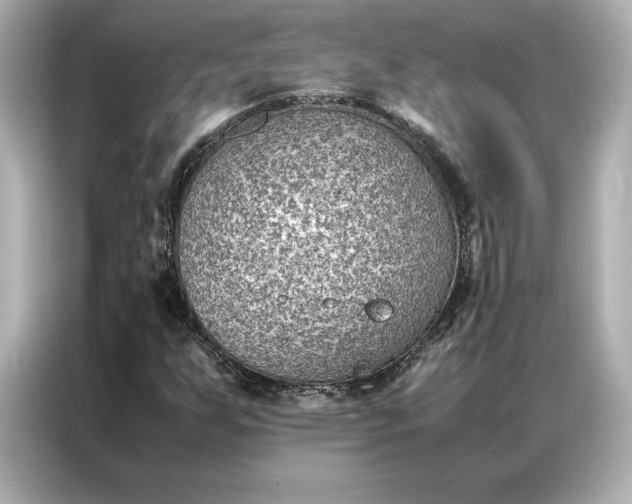 X0000086891255200704300950