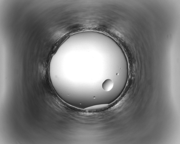 X0000086891257200704300950