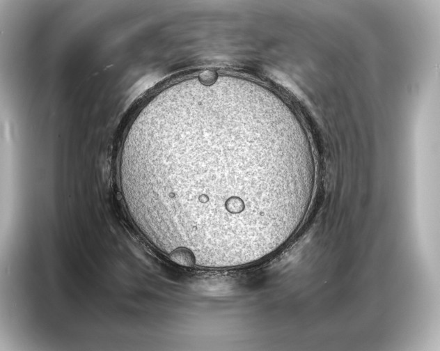 X0000086891259200704300950