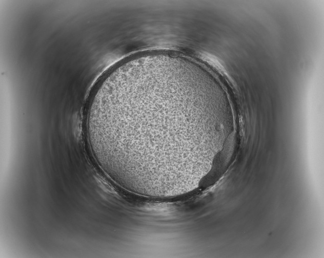 X0000086891260200704300950