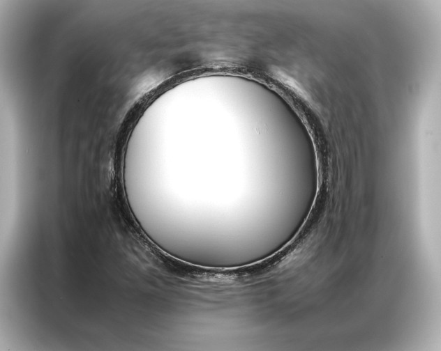 X0000086891261200704300950