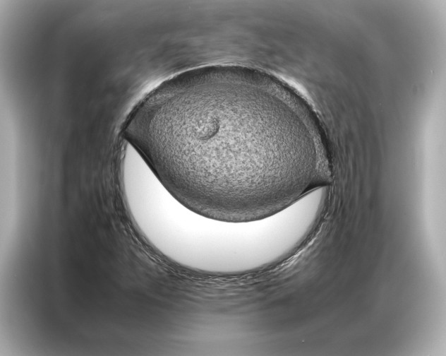 X0000086891263200704300950