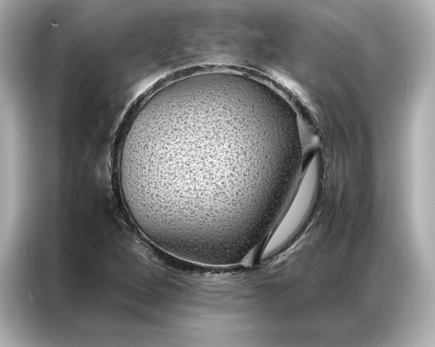 X0000086891264200704300950