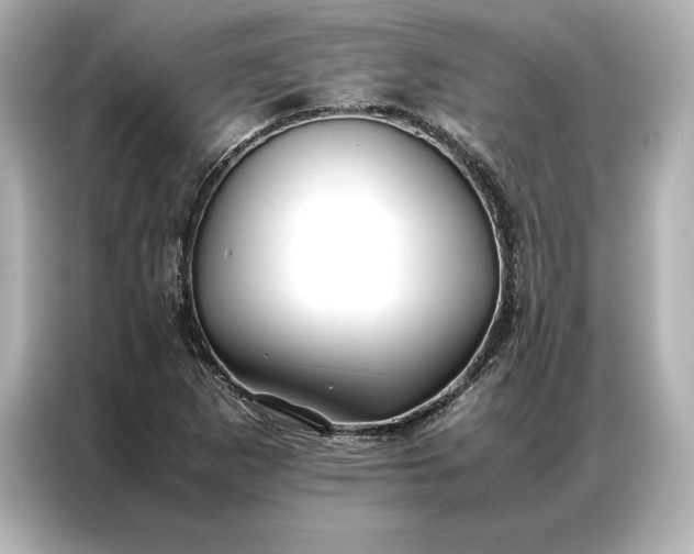 X0000086891265200704300950