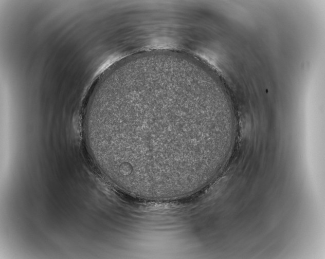 X0000086891266200704300950