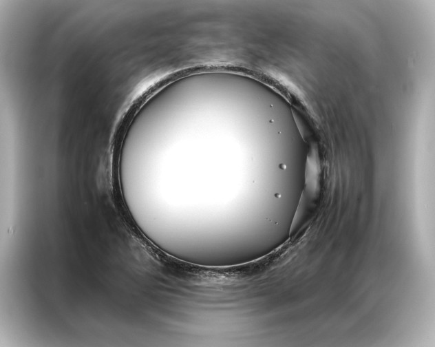 X0000086891270200704300949