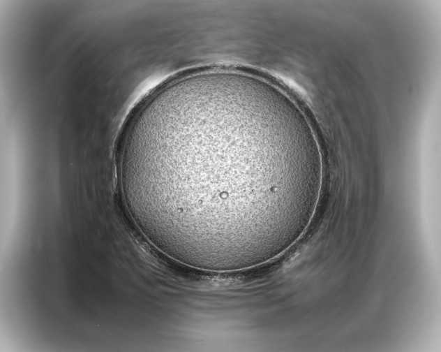 X0000086891271200704300949