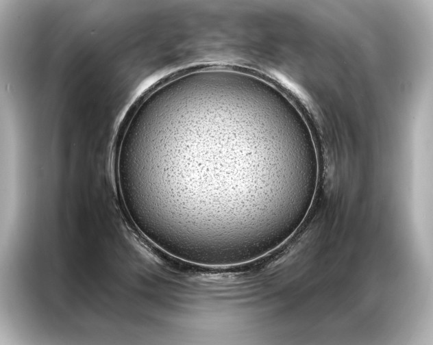 X0000086891272200704300949