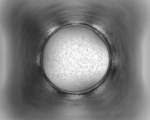 X0000086891273200704300949