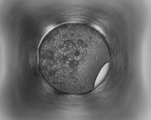 X0000086891275200704300949