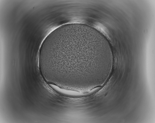 X0000086891276200704300949