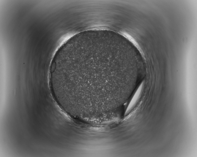 X0000086891277200704300949