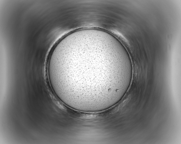 X0000086891278200704300949