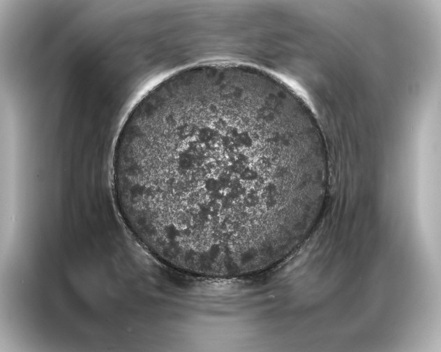 X0000086891279200704300949