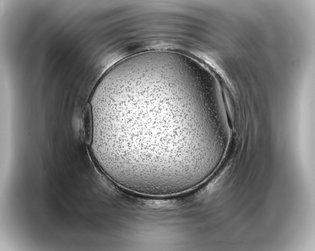 X0000086891281200704300949