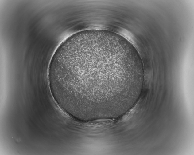 X0000086891283200704300949