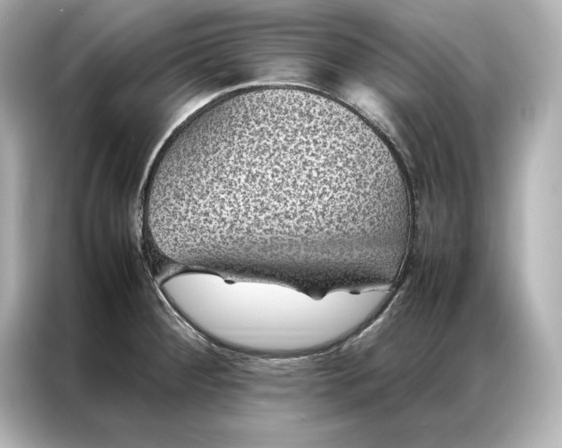 X0000086891284200704300949