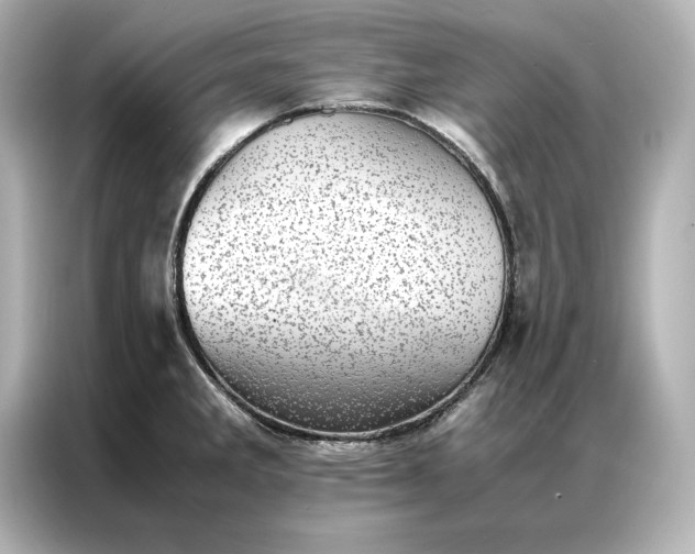 X0000086891285200704300949