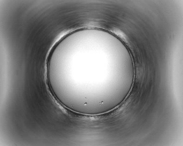 X0000086891286200704300949