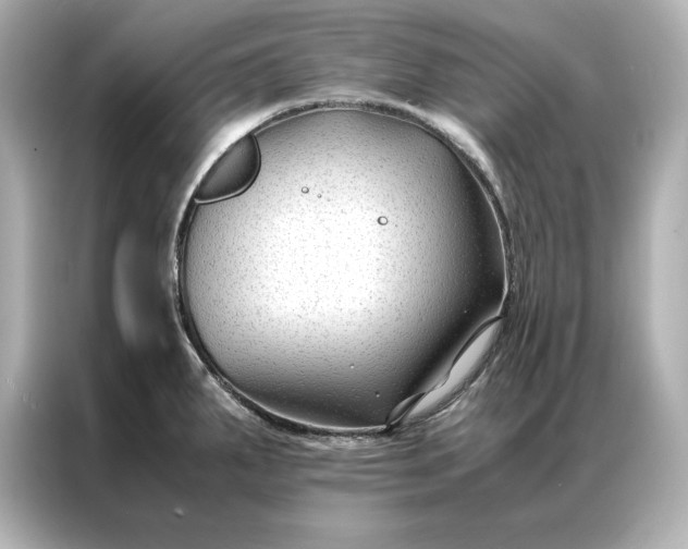 X0000086891287200704300949