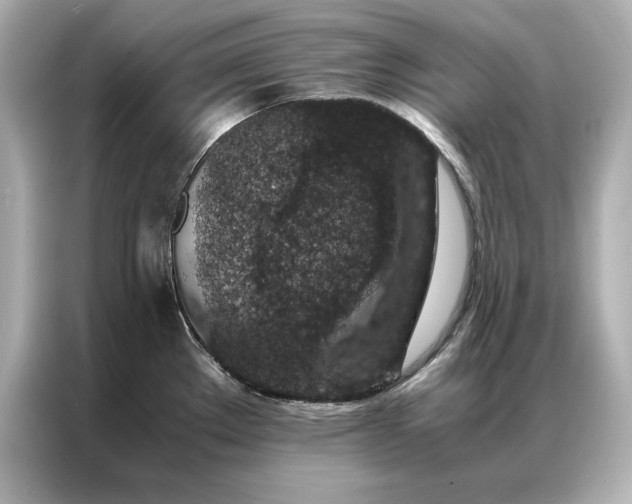 X0000086891289200704300949