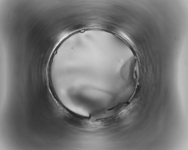 X0000086891291200704300949