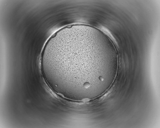 X0000086891292200704300949