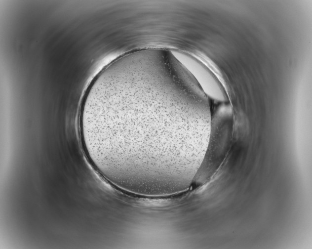 X0000086891293200704300949