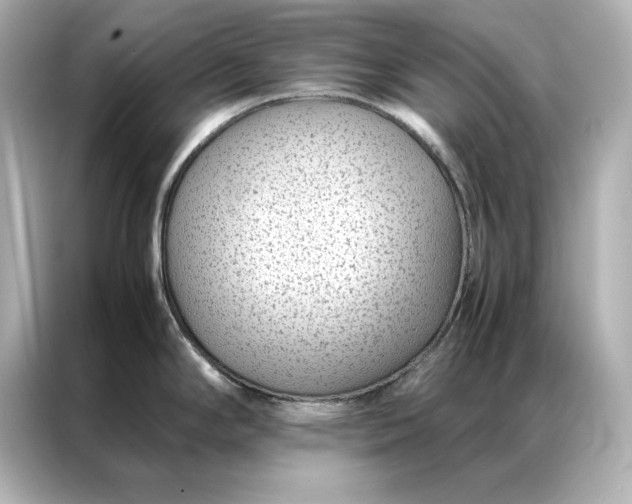 X0000086891294200704300949