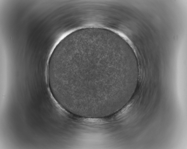 X0000086891295200704300949