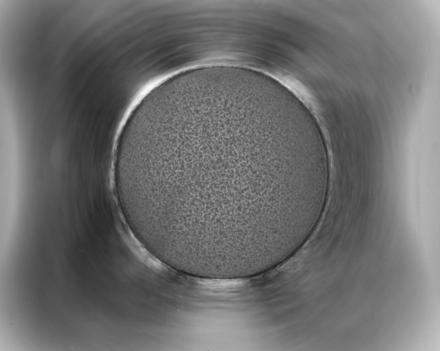 X0000086891296200704300949