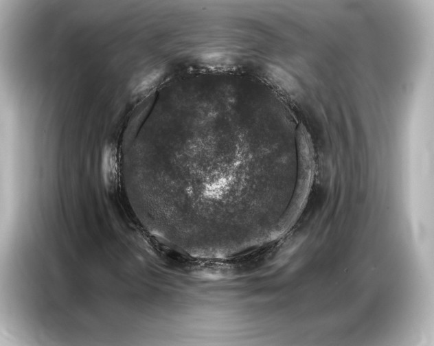 X0000086891298200704300949