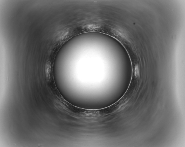 X0000086891299200704300949