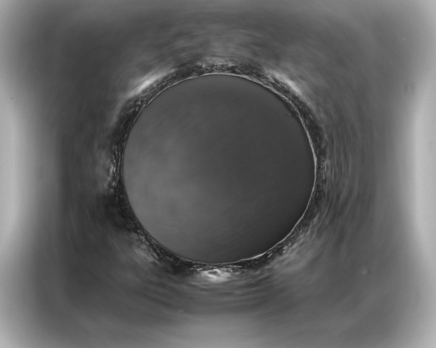 X0000086891303200704300949